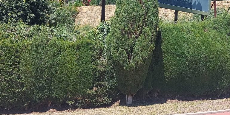 Parcela sierra blanca